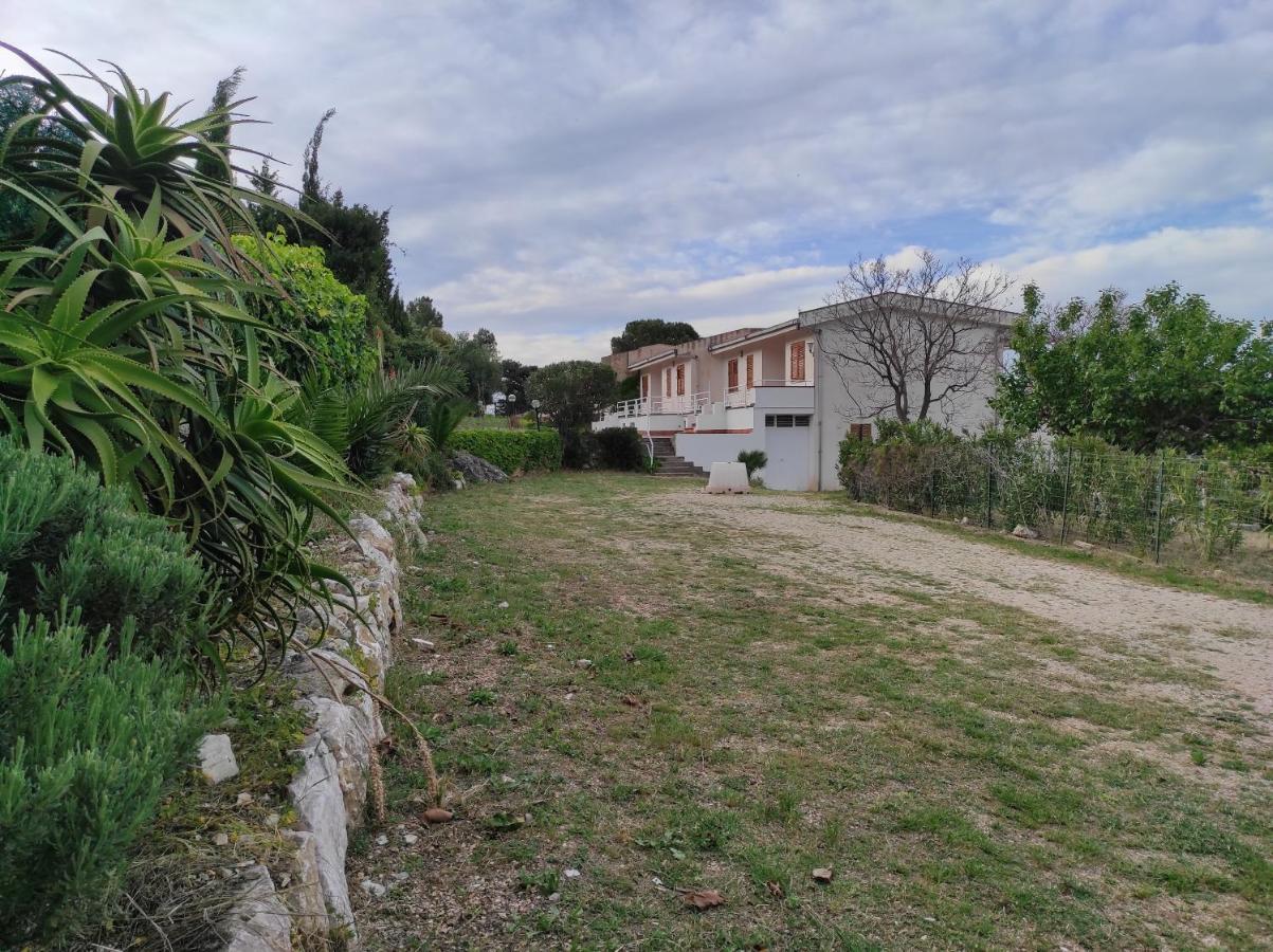 Bellavista Apartments Scopello  Extérieur photo