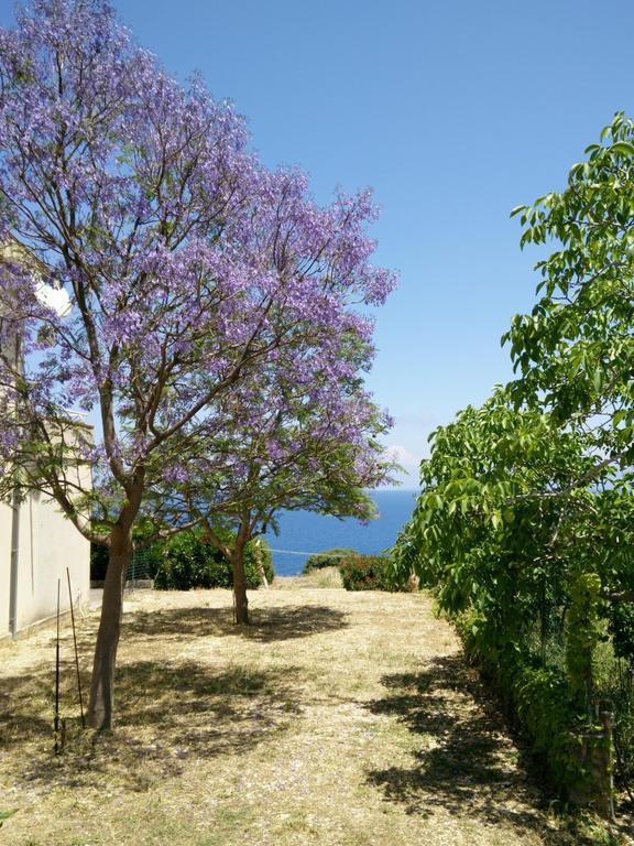 Bellavista Apartments Scopello  Chambre photo